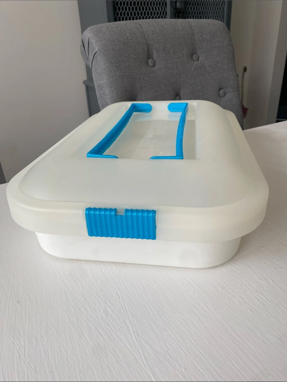 Tupperware Storage Container Cookies, Cakes, Cupcakes, Pies, Anything that Fits